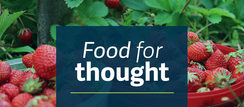 background image of strawberries behind blue color block with Food for Thought in white text