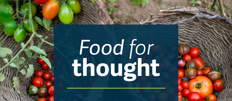 background image of tomatoes behind blue color block with Food for Thought in white text