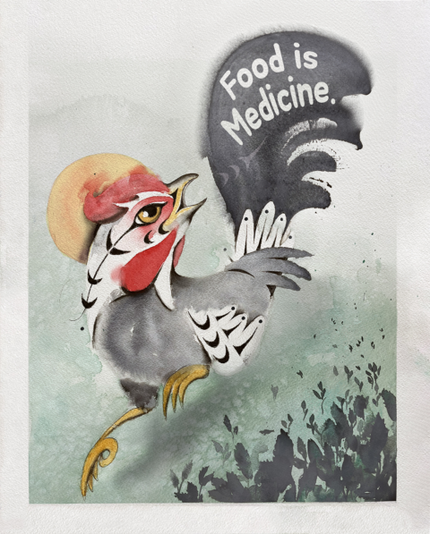 watercolor of chicken with "food is medicine" written over tail feathers