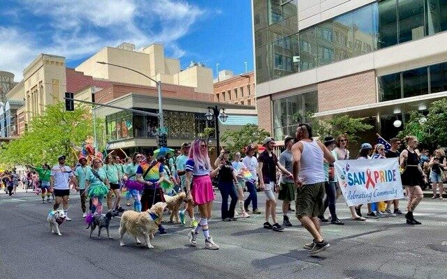 SAN marching at Pride