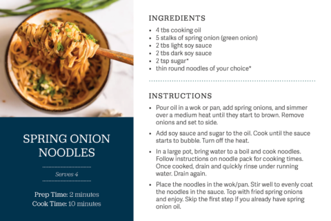 image of recipe card - photo of bowl of spring onion noodles above block of text with serving size and time estimates - to right of card is list of ingredients and cooking instructions
