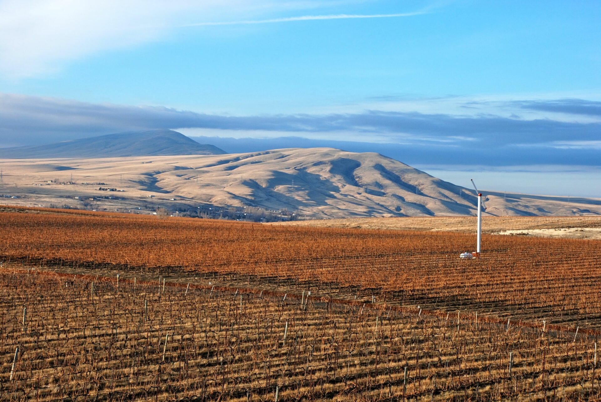 Image of Yakima farmland/landscape with fields and hills in background